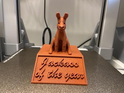 Jackass of the year award