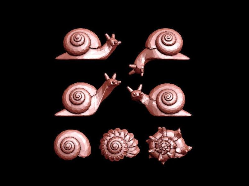 Snails