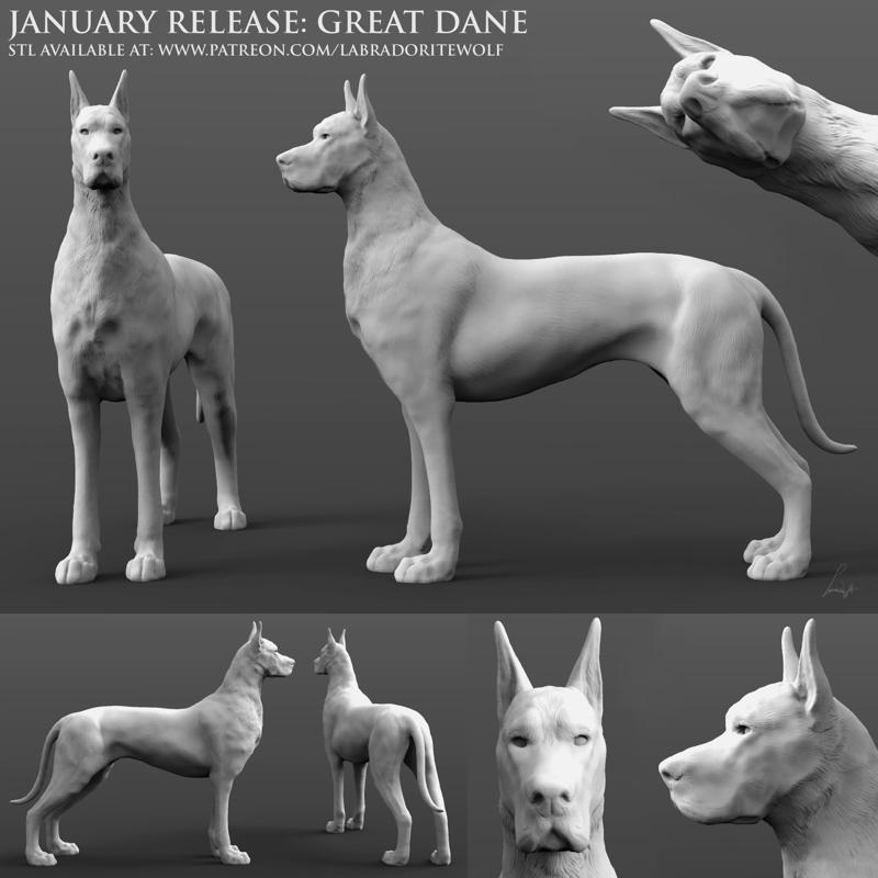 Great Dane
