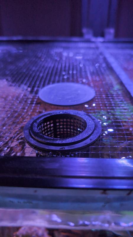 D-D JumpGuard Feeding Flap Basket