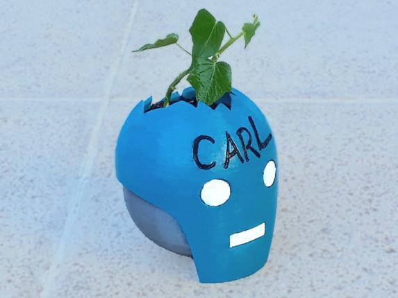 S.A.M.E.S. head planter