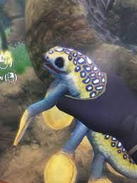 Articulated hoverfish