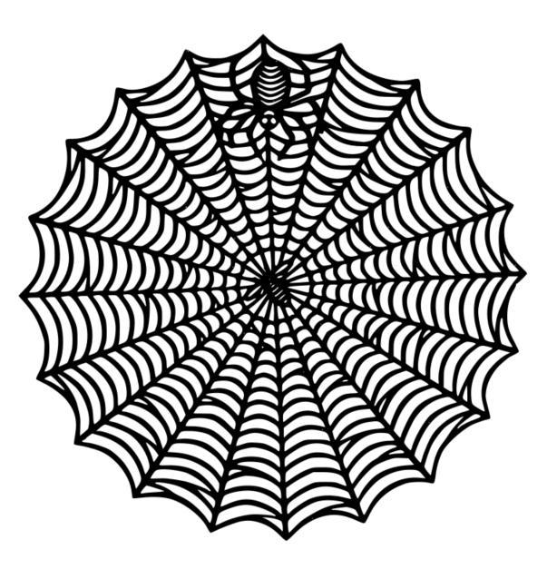 Spider Web Shape Decorate