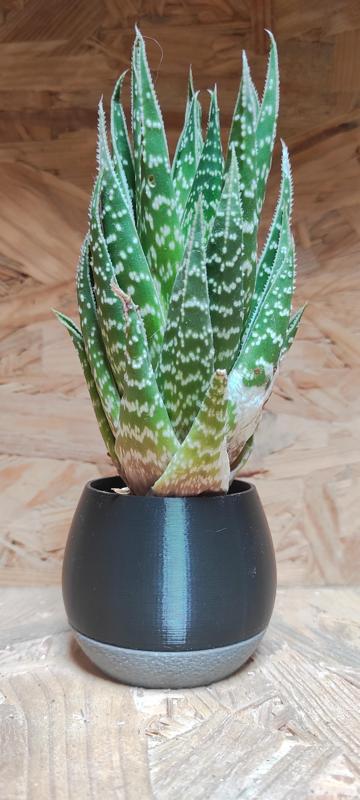 Planter - réservoir d'eau