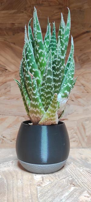 Planter - réservoir d'eau