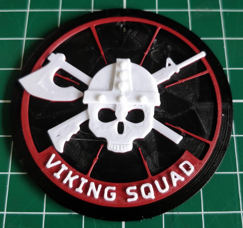Custom logo viking squad