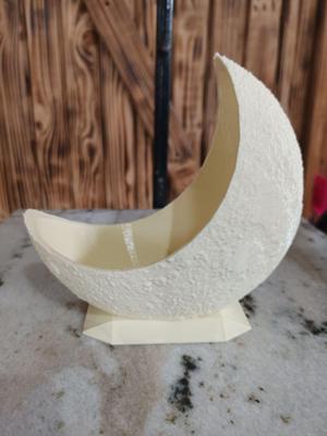 moon flowerpot
