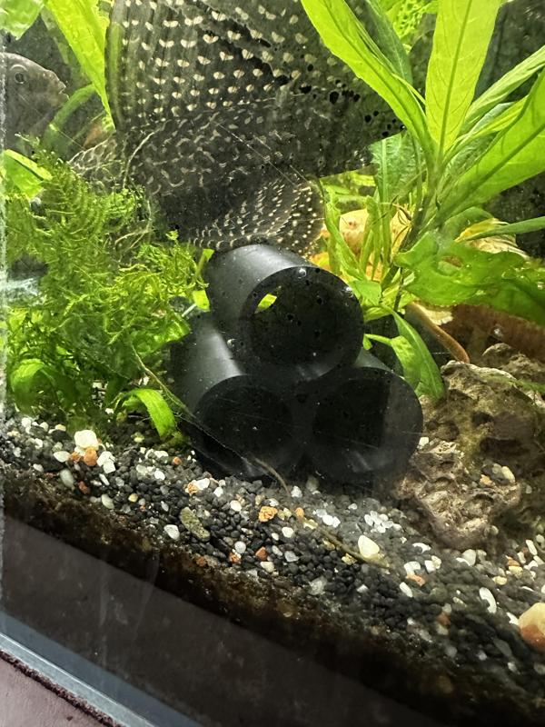 Pipes, cave, shelter for small fishs and shrimps