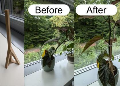 Plant Support Pillar above soil