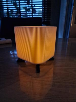 Modern planter/lightbox