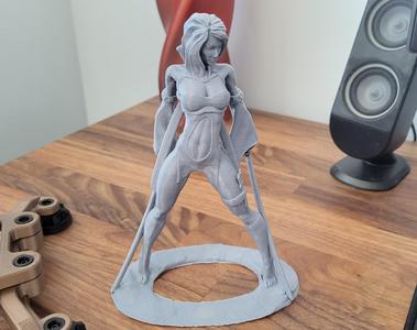 Female Sword Warrior