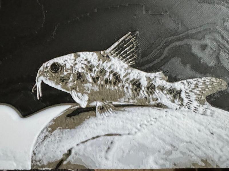 Peppered Cory Hueforge 