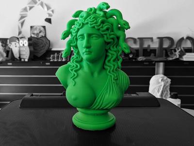 Medusa Bust