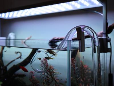 Aquarium Glass Poppy Inflow Outflow Pipe_holder