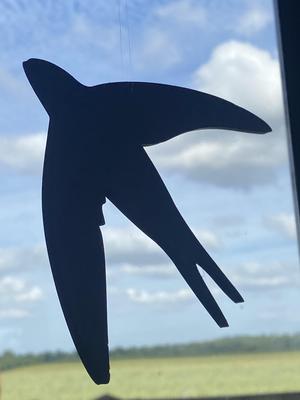 Swallow silhouettes