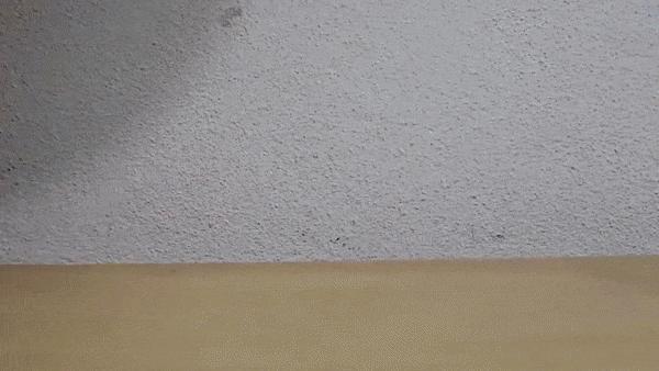 F1 Tire Keychain Threaded Hidden Box / Storage Box