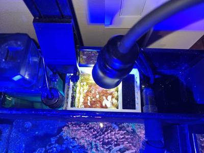 IM Nuvo Fusion 15 Refugium - MAJOR UPDATE v3