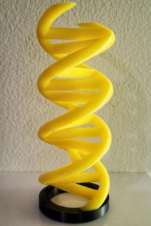 Double Helix DNA Model