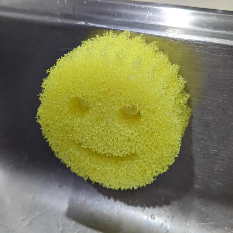 Scrub Daddy Holder