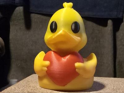 Duck in Love