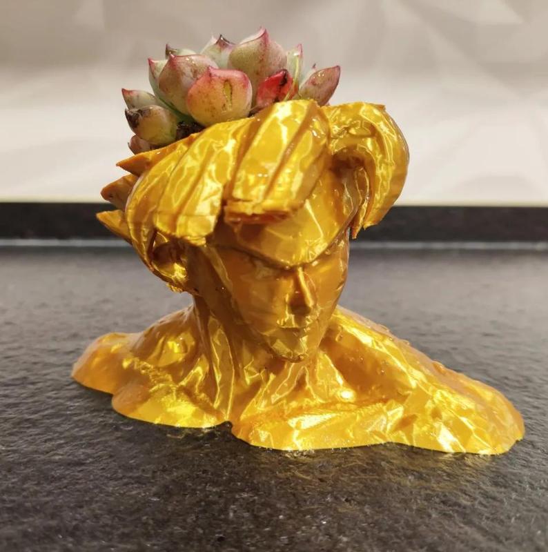 Goku Flower Pot   