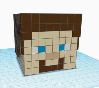 Minecraft Steve head