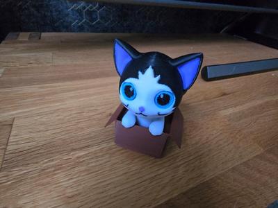 Cat in the Box for AMS