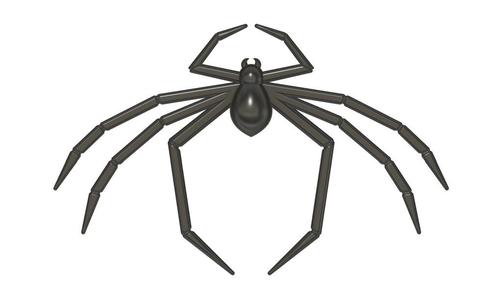 Spider