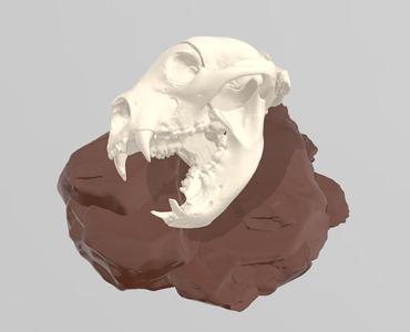 Hollow Earth Skull Kong Axe Holder