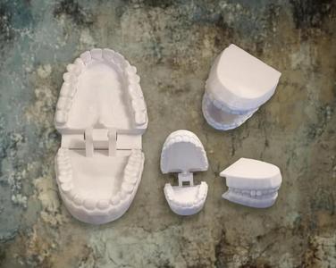 Articulated teeth   