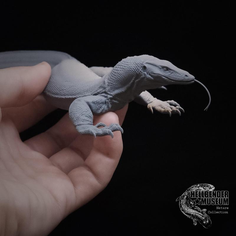 Asian Water Monitor Varanus salvator Presupported