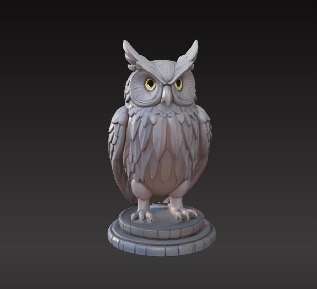 Owl