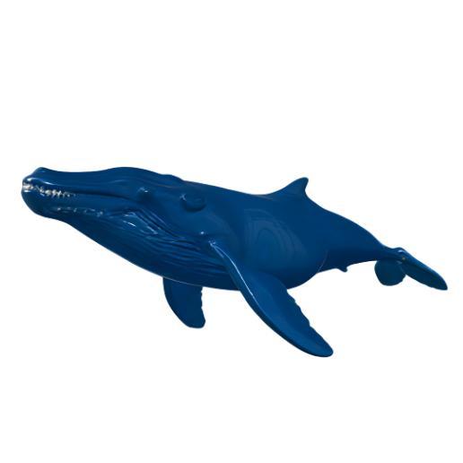 Open-Mouth Blue Whale