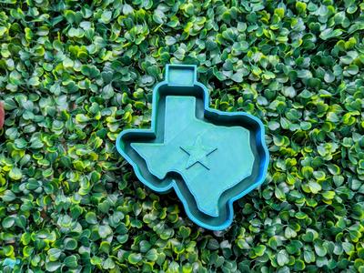 Texas Star Freshie Mold Housing