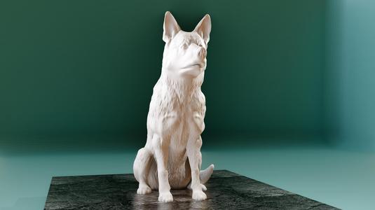 Malinois dog