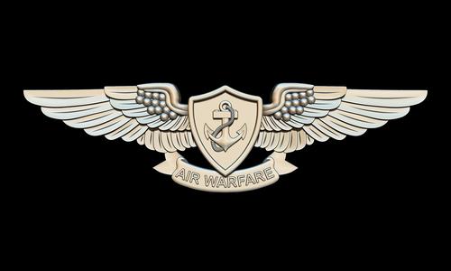 US Air Warfare Specialist Insignia 3D STL for CNC