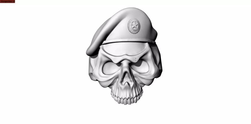 skull beret