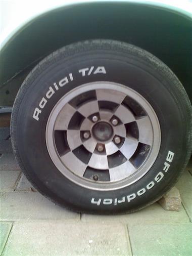 Monte carlo Rhine Mexico version