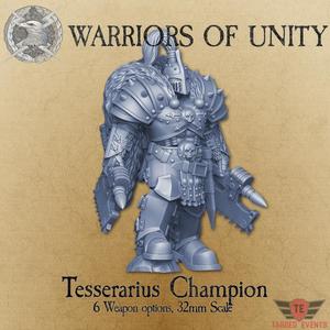 Warriors of Unity - Tesserarius Champion