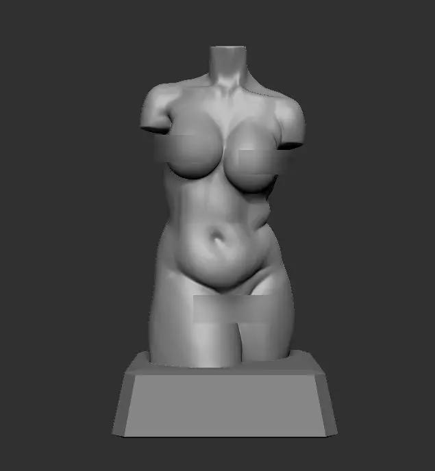 Female Torso 01 - 3D Print Model