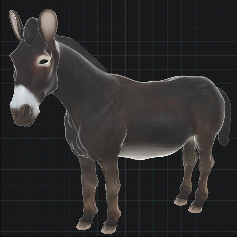 Realistic Donkey 3D Model – Stylized Animal