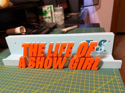 Vinyl Holder-The Life of a Show Girl(Taylor Swift)
