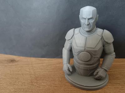 Kryton bust