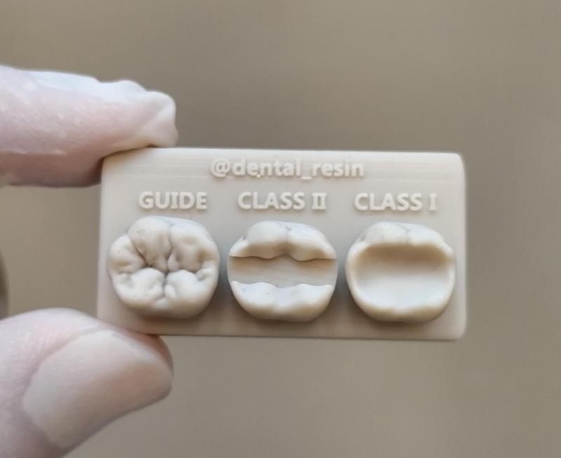 Lower first Molar training model