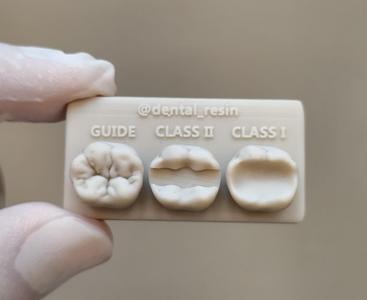 Lower first Molar training model