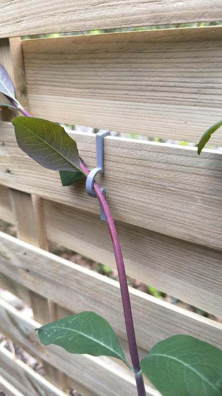 Slat fence clip for climbing plants