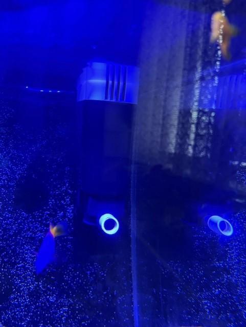 Tunze 3161 + Adsorber