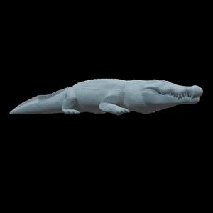 crocodile