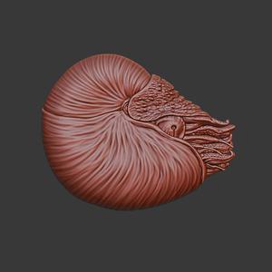 Nautilus 3d relief .stl file