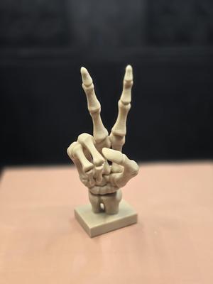 Skeleton Peace